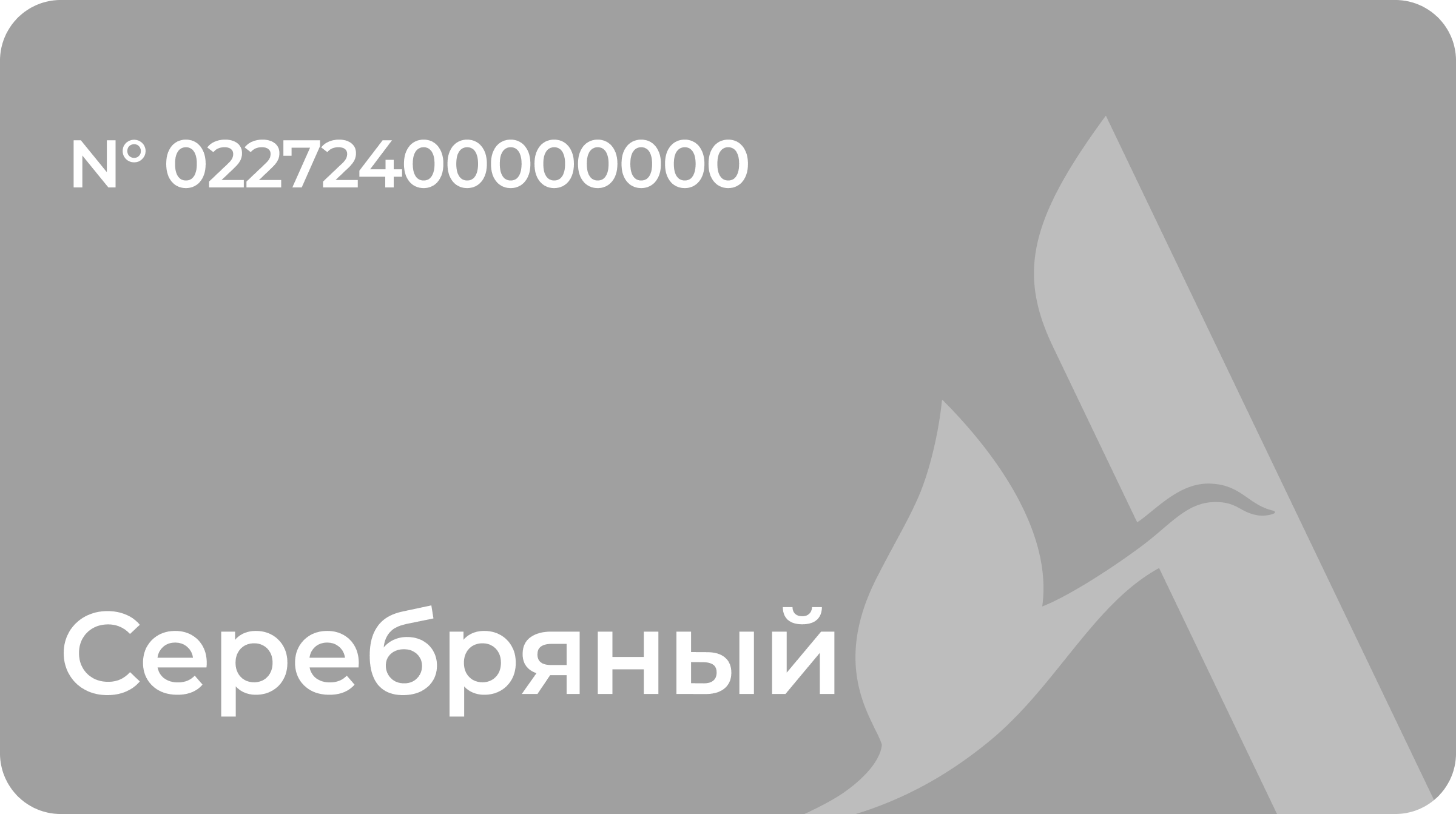Серебряный уровень