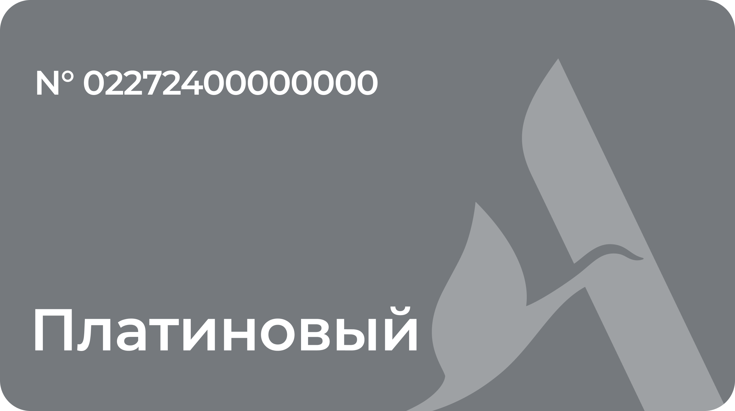 Платиновый уровень